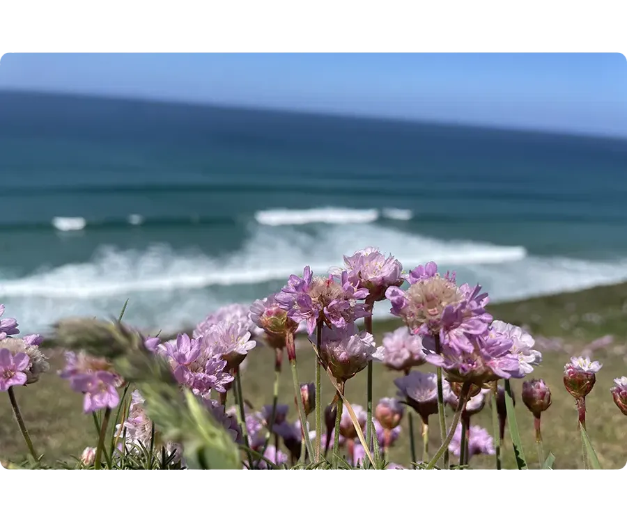 Design Thinking Workshops